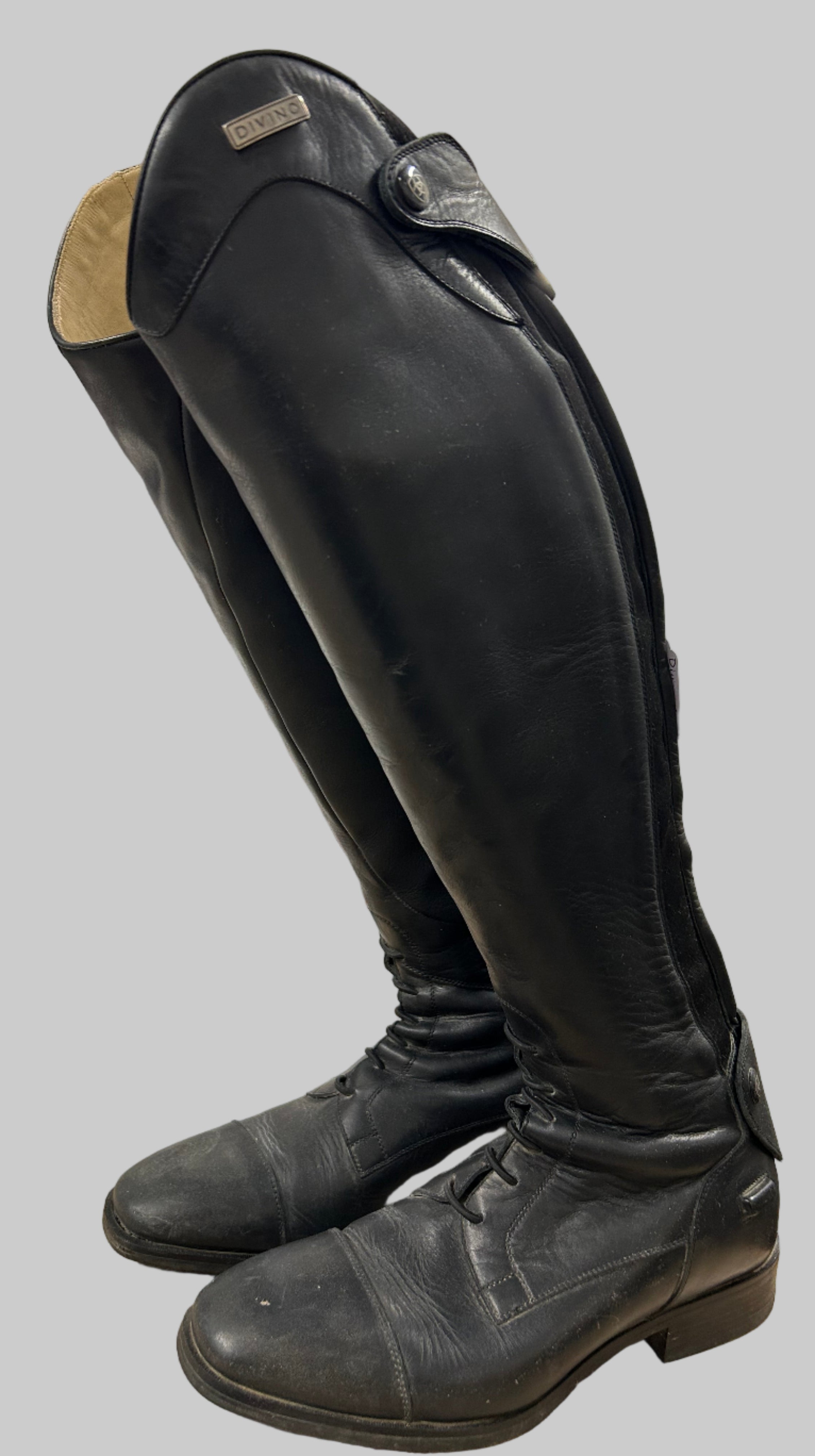 Ariat Divino Tall Boots in Black - Women's 7 Reg/Med