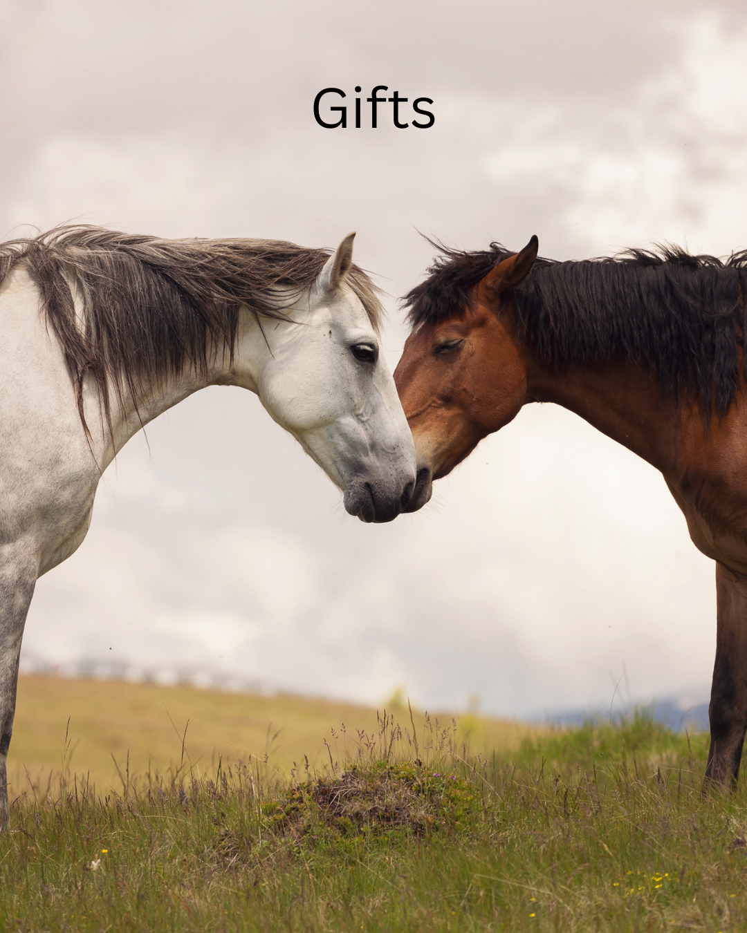 Gifts