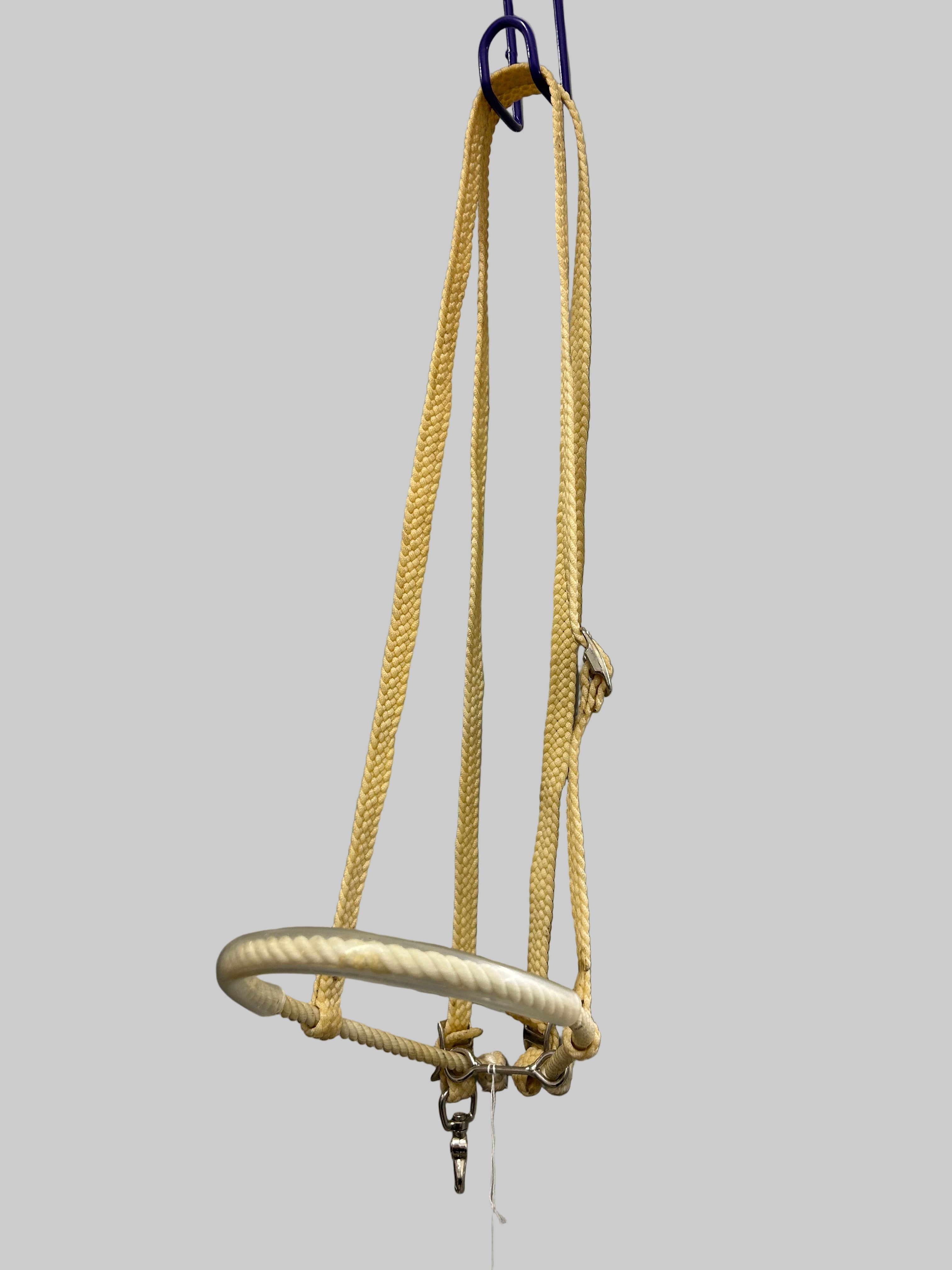 Western Nylon and Rope Tie Down in Horse - Off White