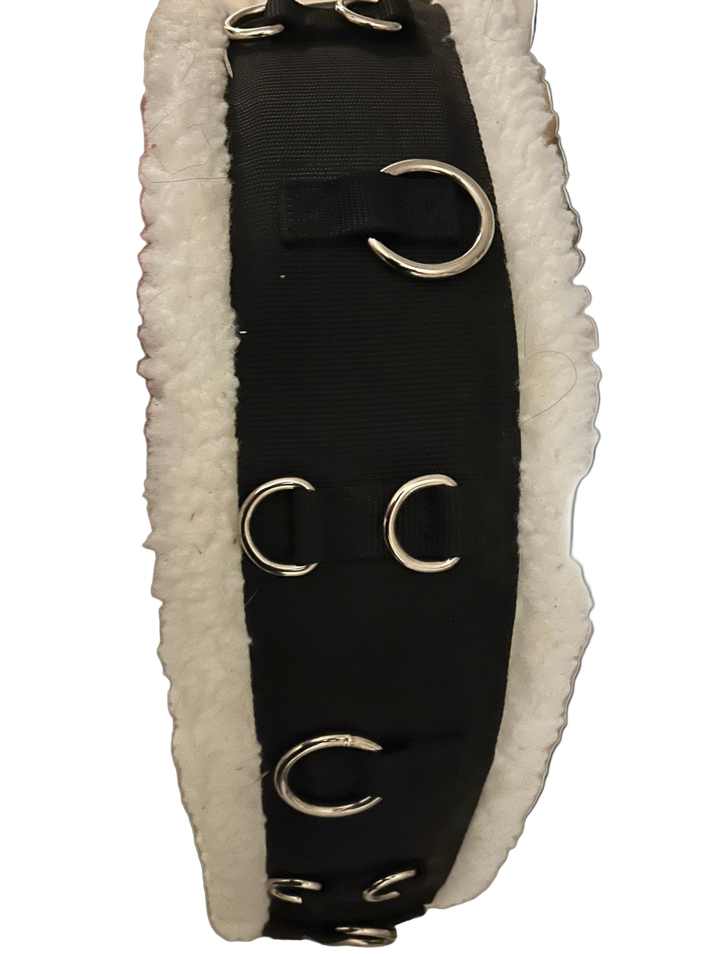 Lunging surcingle Horse size New