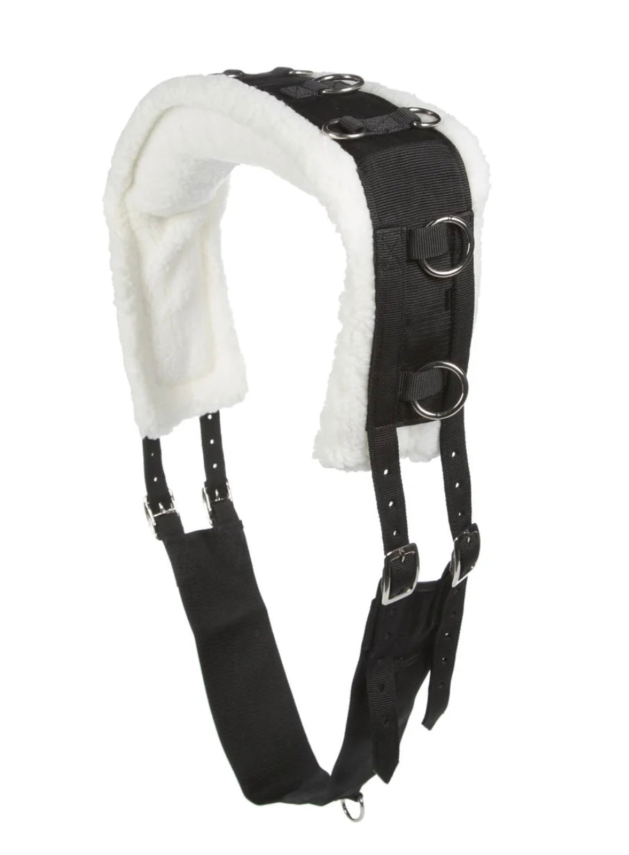 Lunging surcingle Horse size New