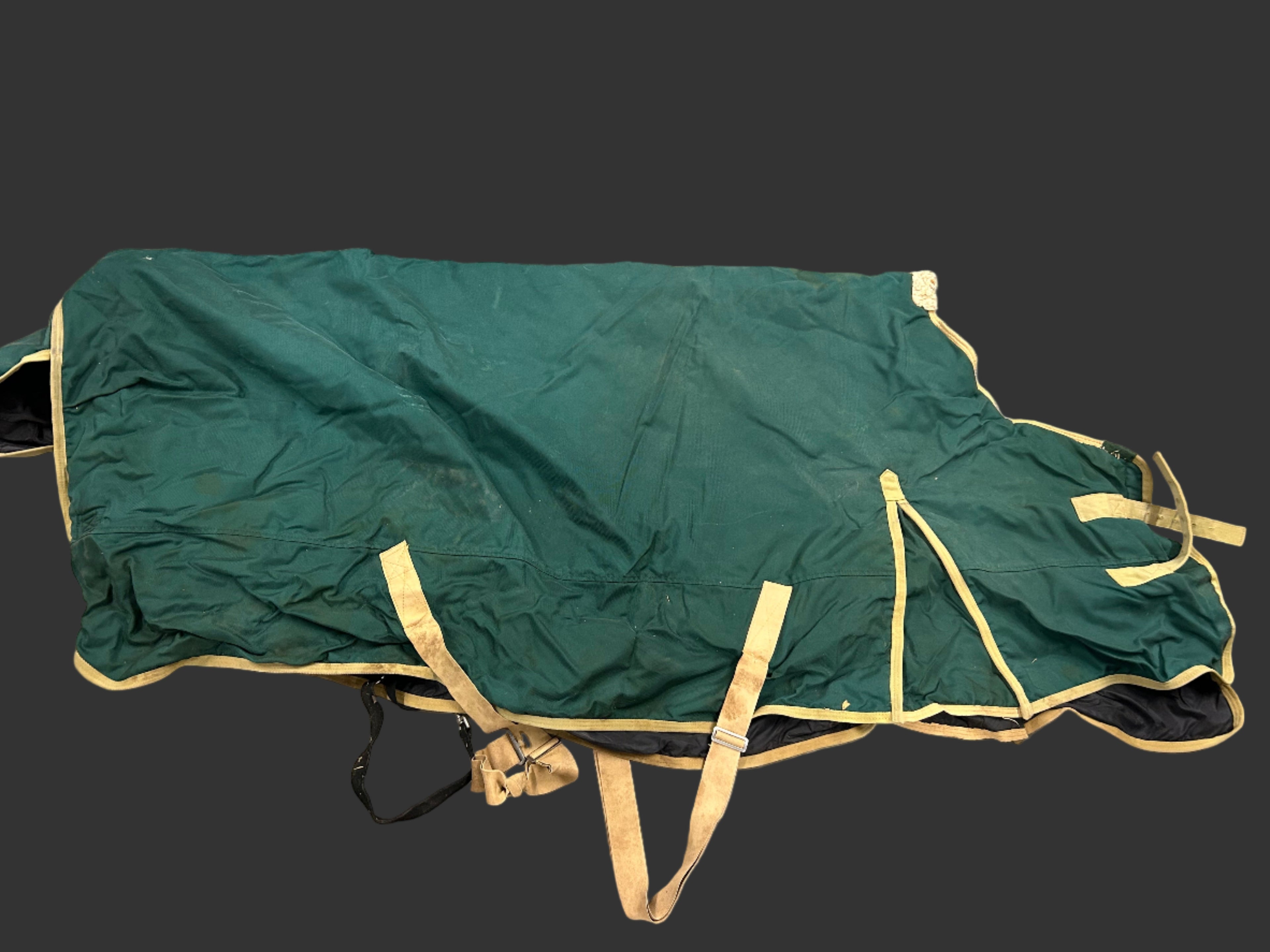 Heavy blanket Used 81" Green/Beige