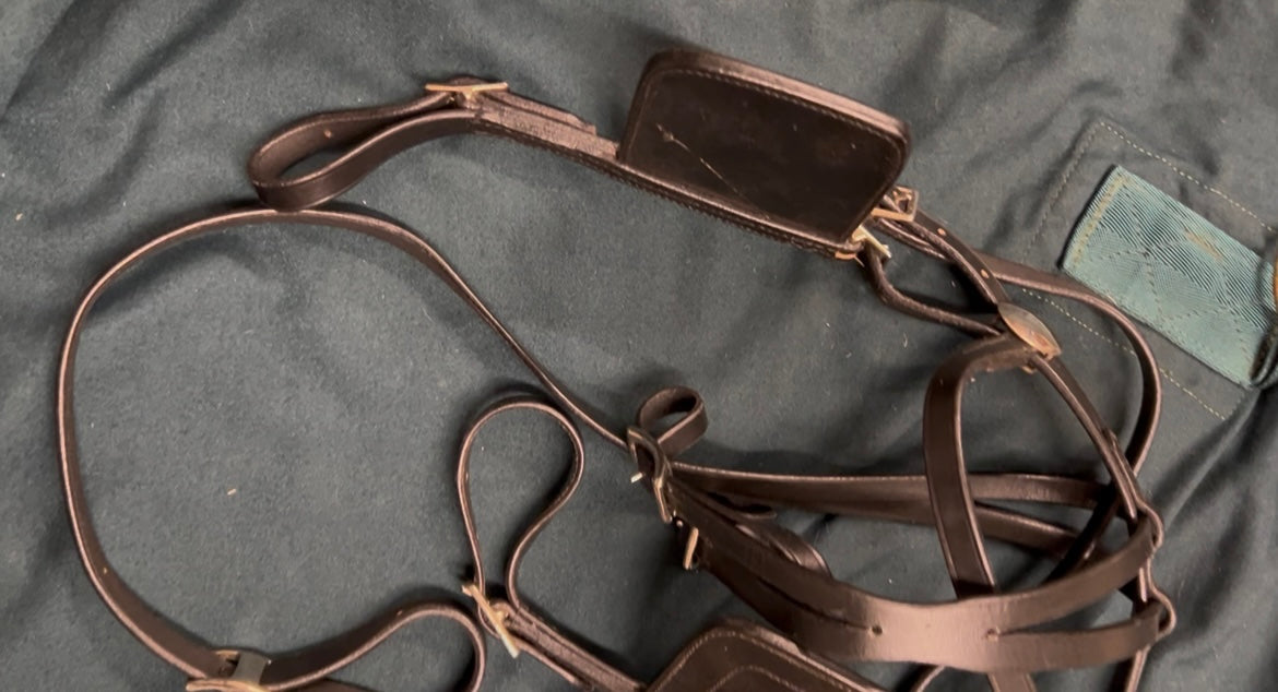 New Mini Horse Leather Driving Harness in Black