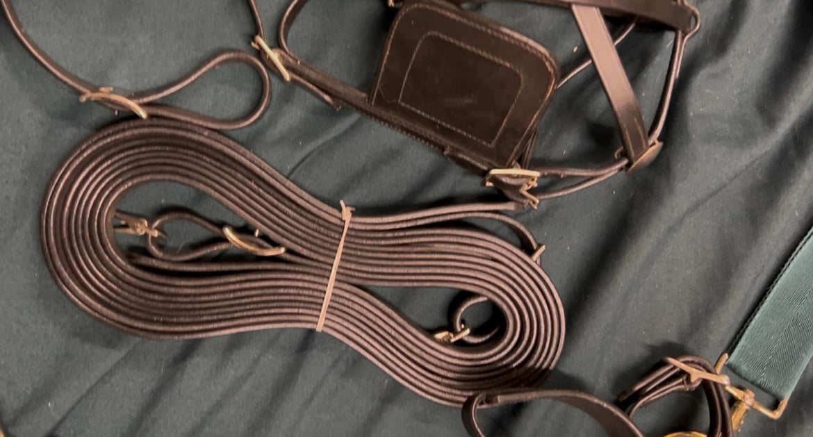 New Mini Horse Leather Driving Harness in Black