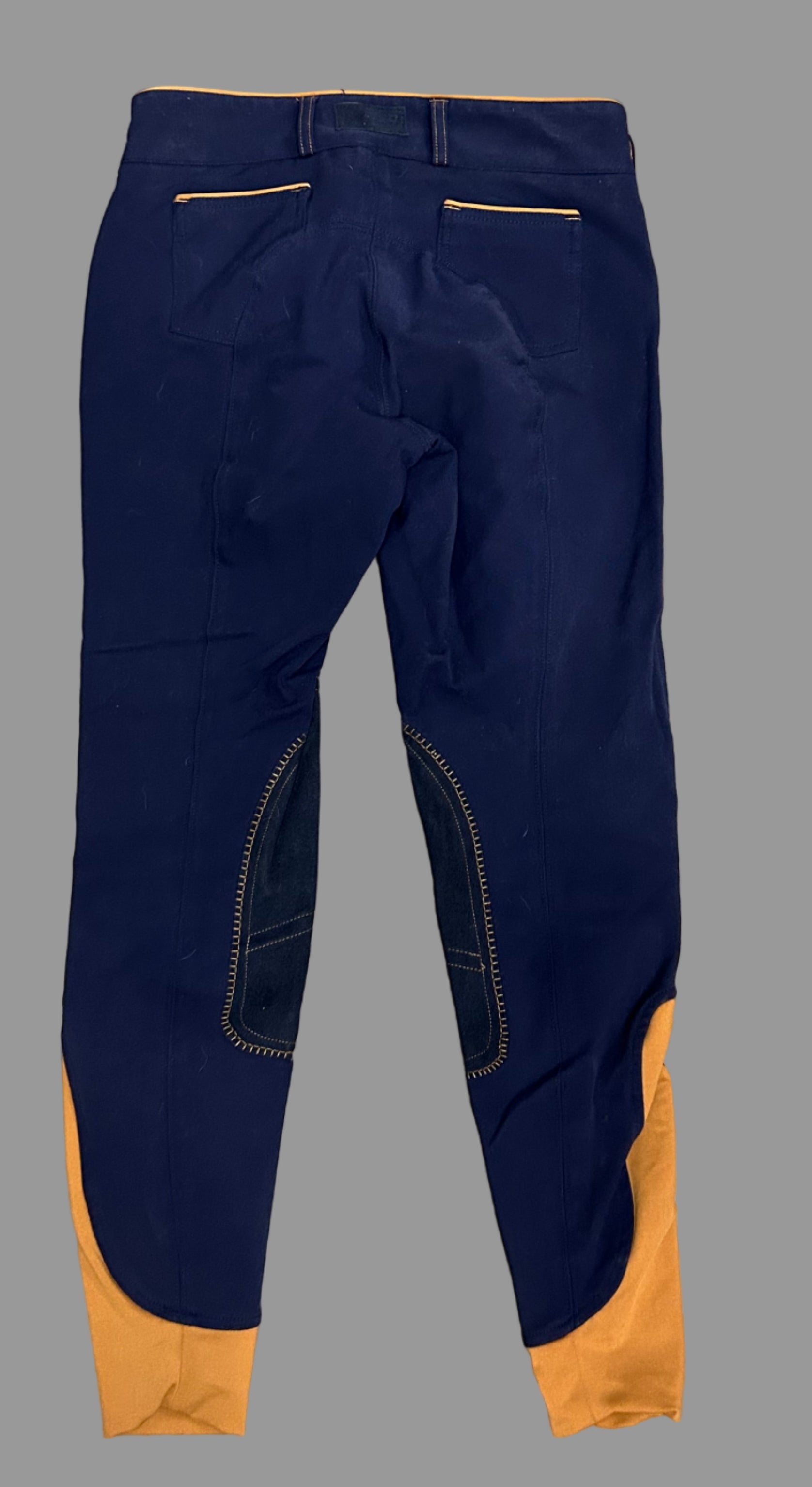 Dover Breeches Navy/Tangerine - Women's 24