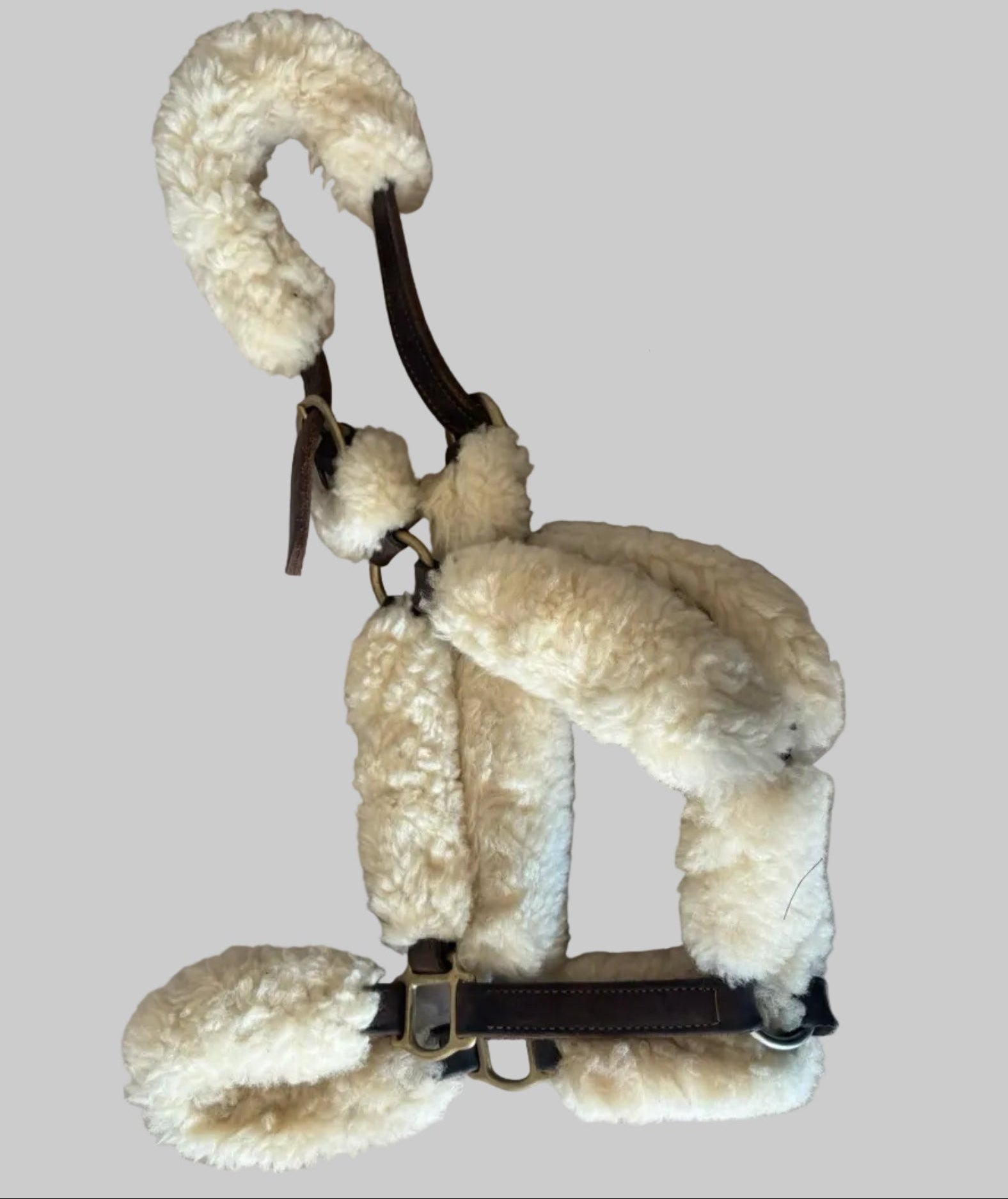 Leather Shipping Halter With Sheepskin Horse