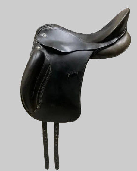 Kieffer Orphee Thoroughbred 17.5