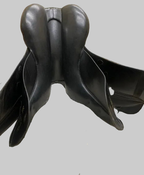 Kieffer Orphee Thoroughbred 17.5